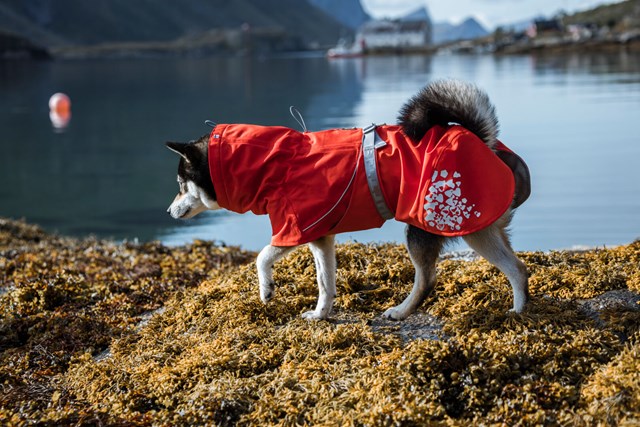 Monsoon ECO Rosehip Regndekken