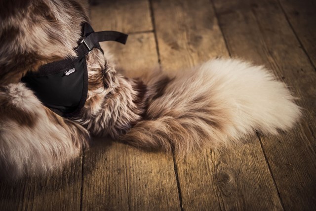 Hurtta Breezy Tispetruse