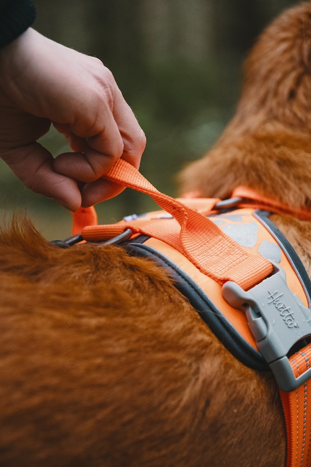 Hurtta Weekend Warrior Sele Neon Orange