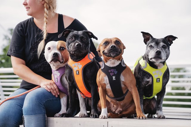 Hurtta Weekend Warrior Sele Neon Lemon