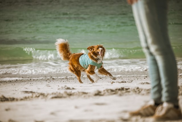 Cooling Wrap Kjølevest - Aquamarine