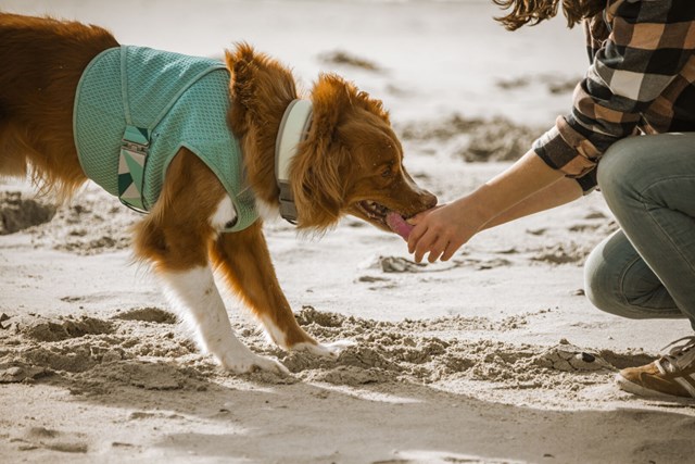 Cooling Wrap Kjølevest - Aquamarine