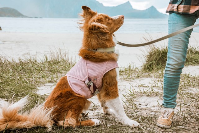 Cooling Wrap - Carnation Pink