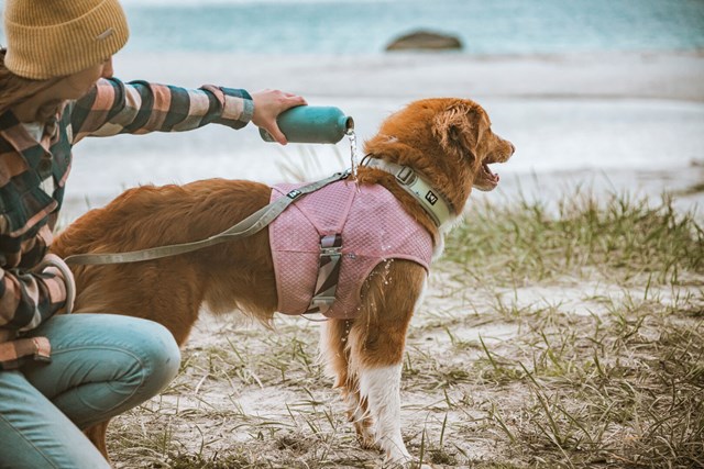 Cooling Wrap - Carnation Pink