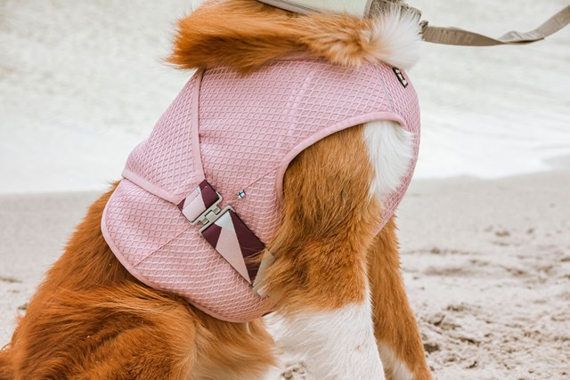 Cooling Wrap - Carnation Pink