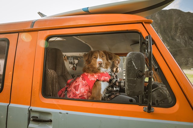 HURTTA LIFE SAVIOR HUNDEFLYTEVEST ECO CORAL CAMO