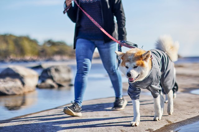 Midlayer Overall - Bjørnebær