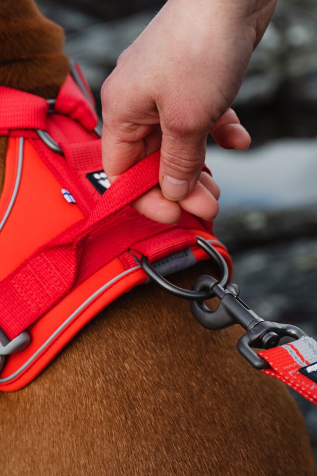 Hurtta Weekend Warrior ECO Harness Rosehip