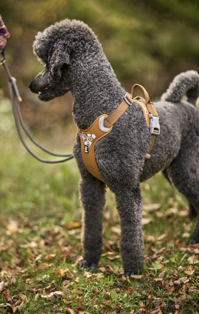 Hurtta Weekend Warrior Sele Desert