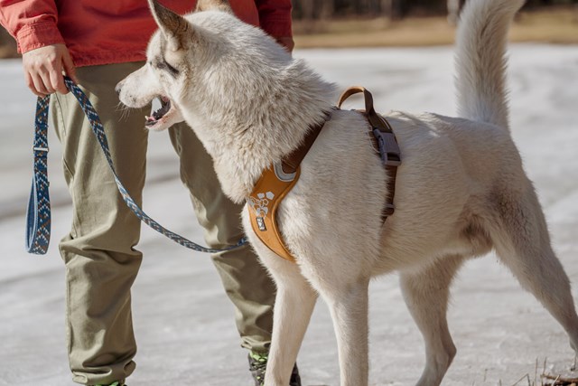 Hurtta Weekend Warrior Sele Desert