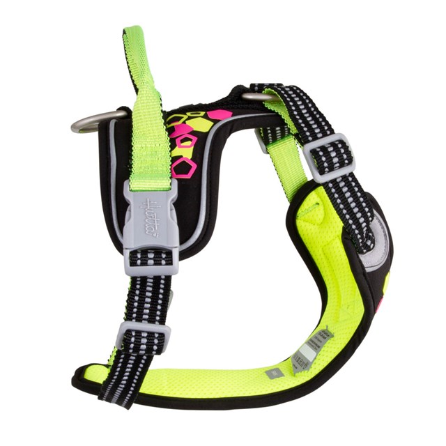 Weekend Warrior Neon Sele - Licorice