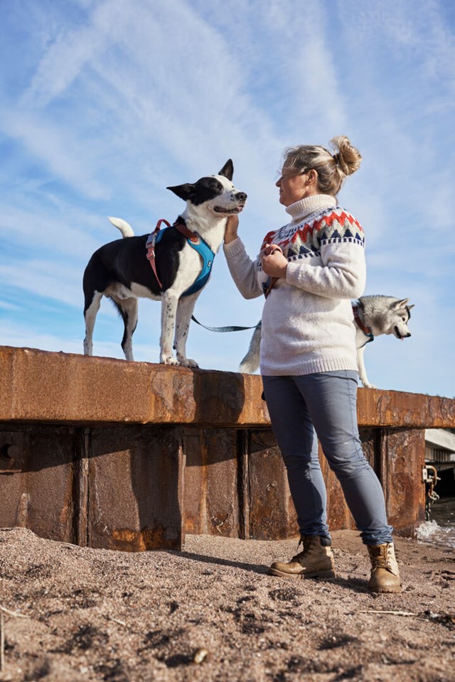 Weekend Warrior Varmende EKO Sele - Blåbær