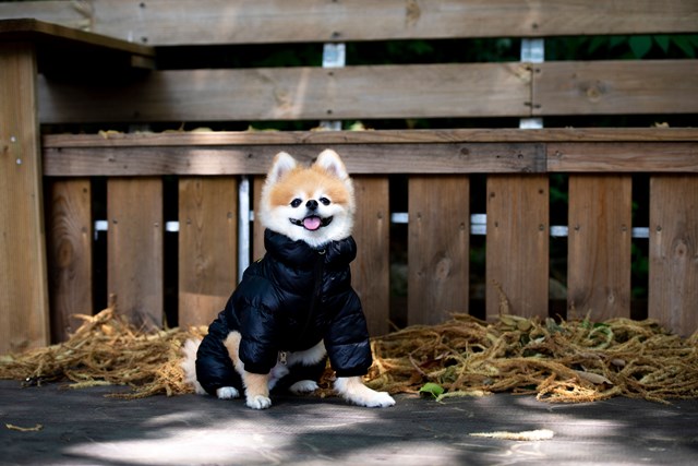 Ultra Light Jumpsuit B Svart Vinteroverall