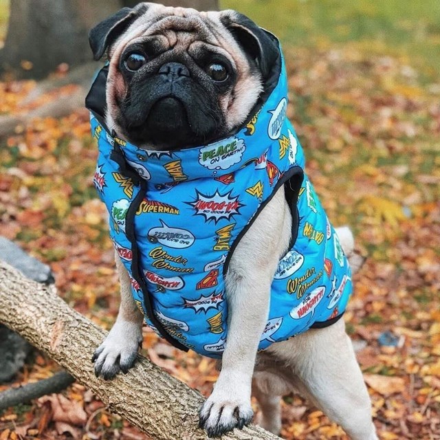 Waudog Clothes JL Blue - Hundedekken