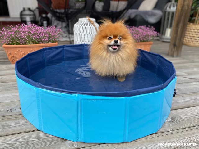 Sammenleggbart Hundebasseng - Blå