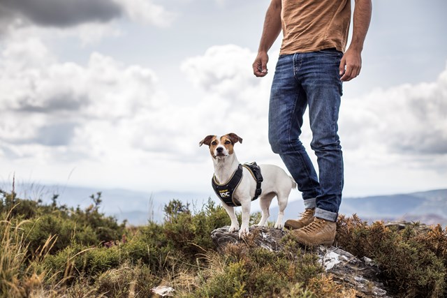 K9 IDC Longwalk Svart/Grå