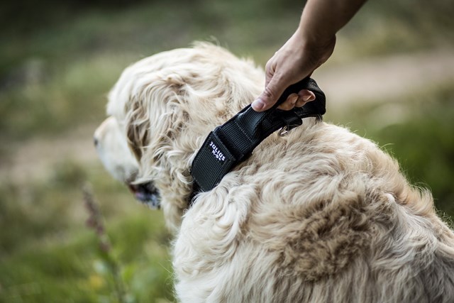 Julius K9 SuperGrip Halsbånd Svart