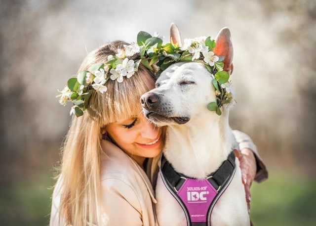 K9 IDC Longwalk Pink/Grey