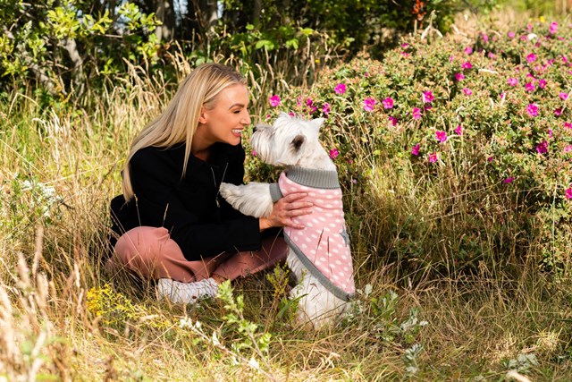 Pink Star - Strikket Hundegenser