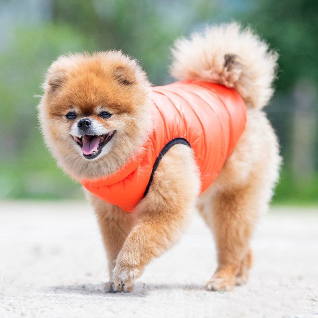 Ultra Light Vest B Orange Hundedekken