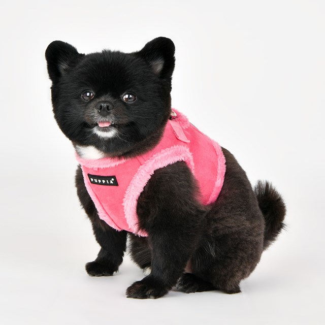 TERRY PINK - Fôret Jacket Hundesele