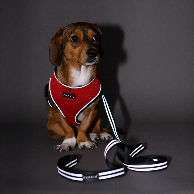 Night Safety Long Lead - Svart Reflekskobbel 3 m