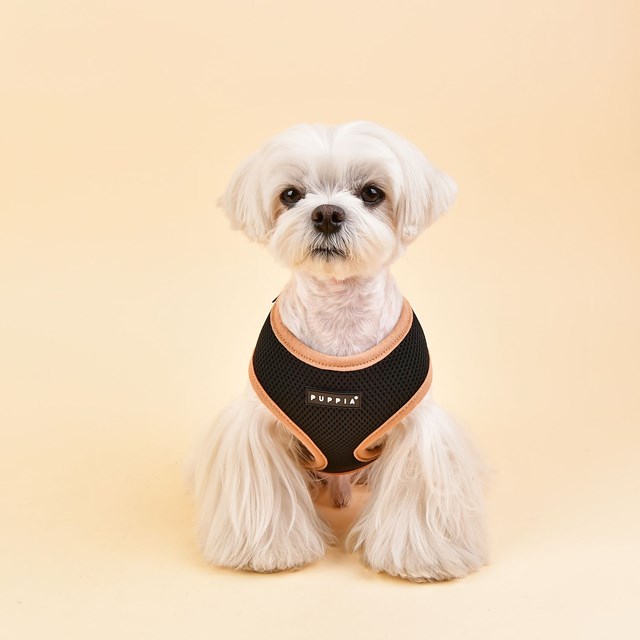 Soft Vest II Svart - Hundesele