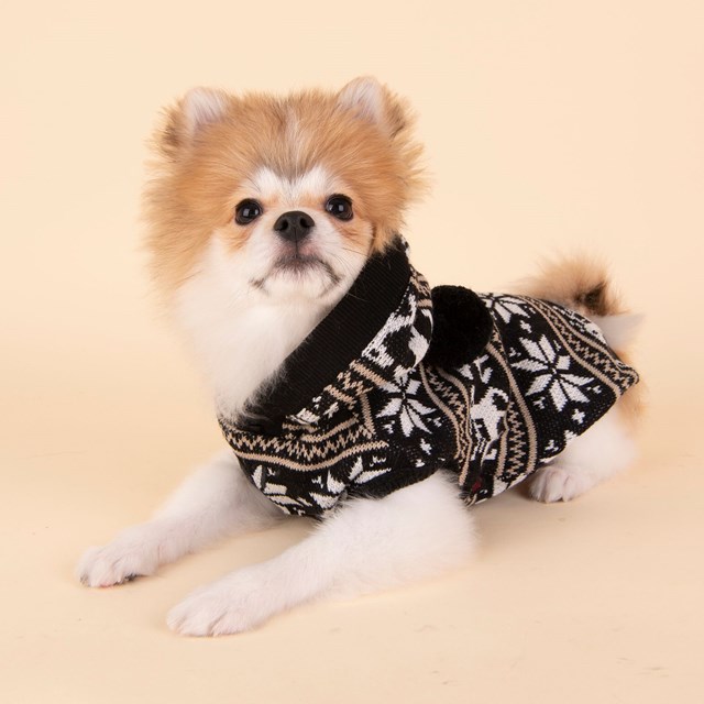 PRANCER - Strikket Hundegenser Med Lue