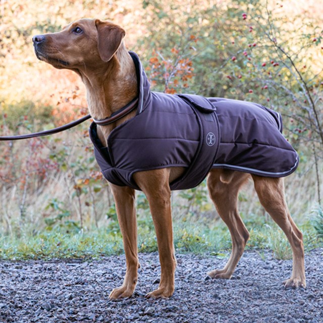 Jacson Sonja Hundedekken Brun