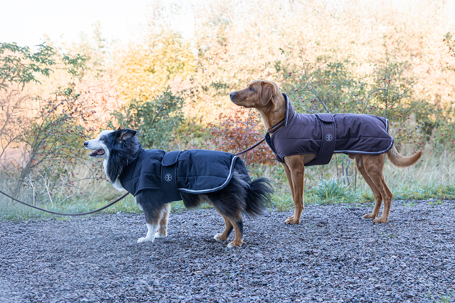 Jacson Sonja Hundedekken Brun