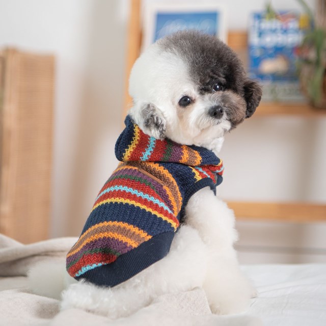 Lennon Navy - Hundegenser