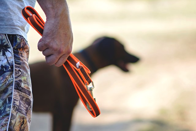 K9 Super-Grip Kobbel Oransje/Grå 20 mm