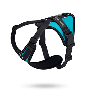 K9 Longwalk Light - Aquamarine