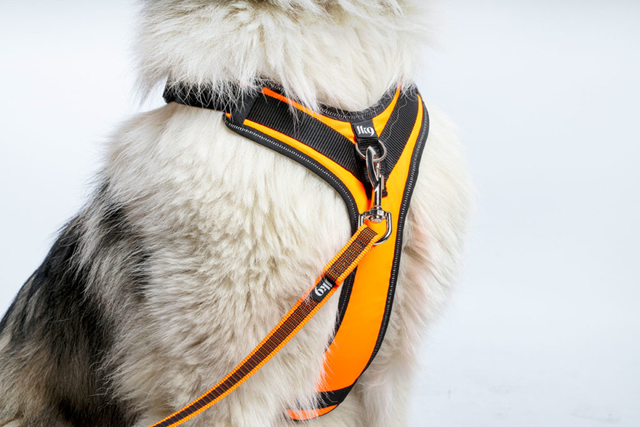 K9 Longwalk Light - Rød