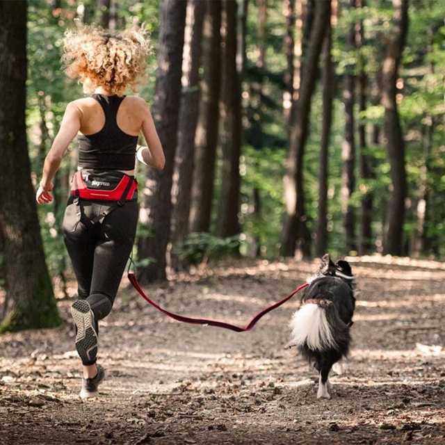 K9 Speed Belt - RØD