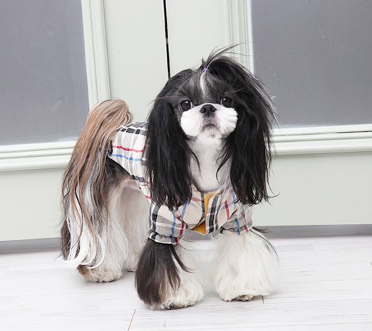 Junior Jumper - Regndekken