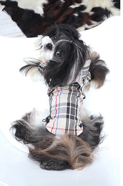 Junior Jumper - Regndekken