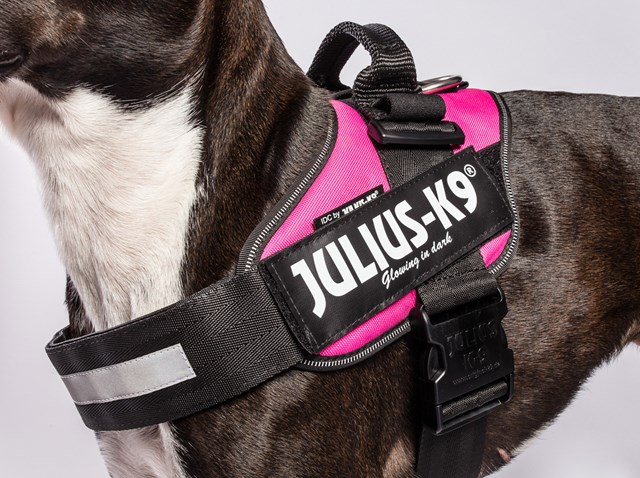 K9 IDC Hundesele Cerise