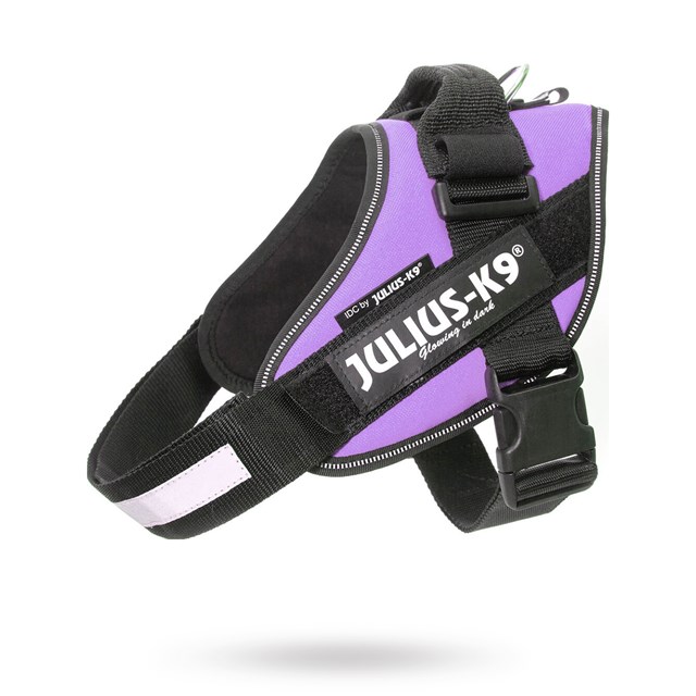 K9 IDC Hundesele Lila