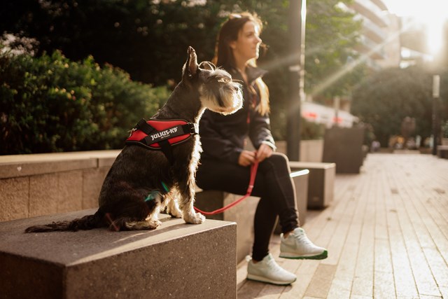 K9 IDC Hundesele Rød