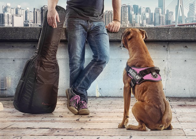 K9 IDC Hundesele Rosa