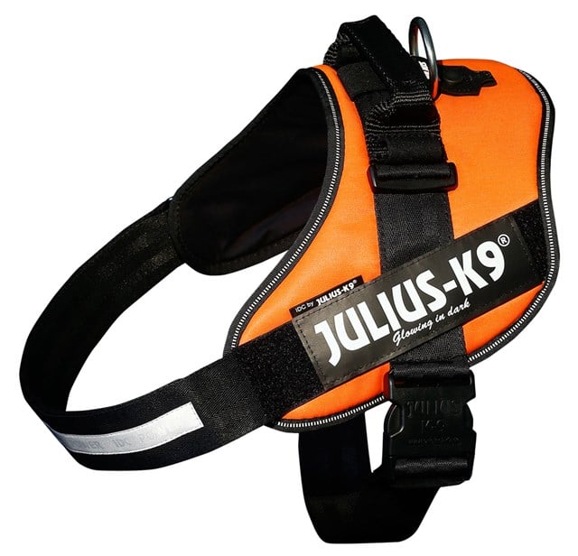 K9 IDC Hundesele UV Orange