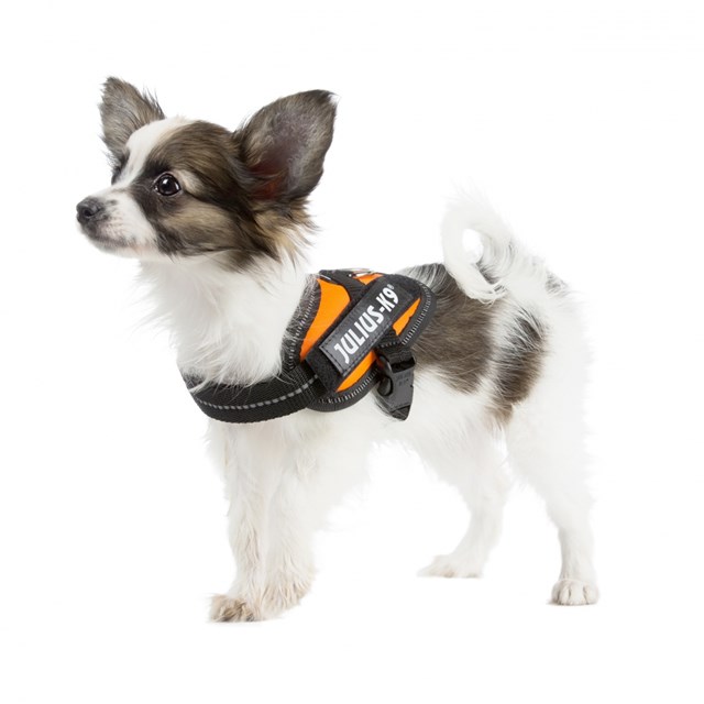 K9 IDC Hundesele UV Orange
