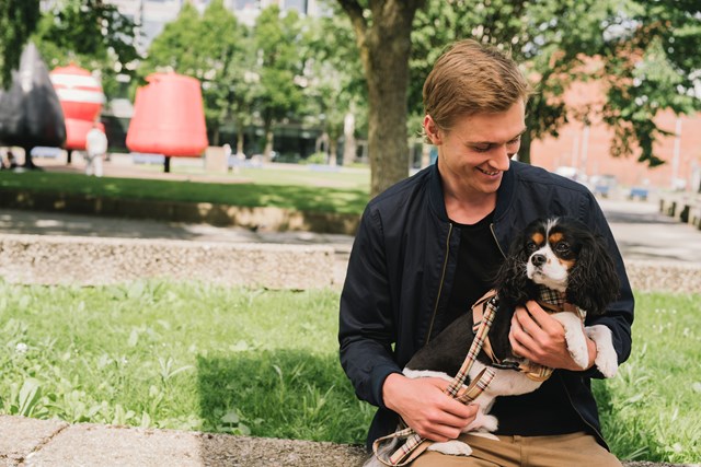 Brown Tartan Hundesele