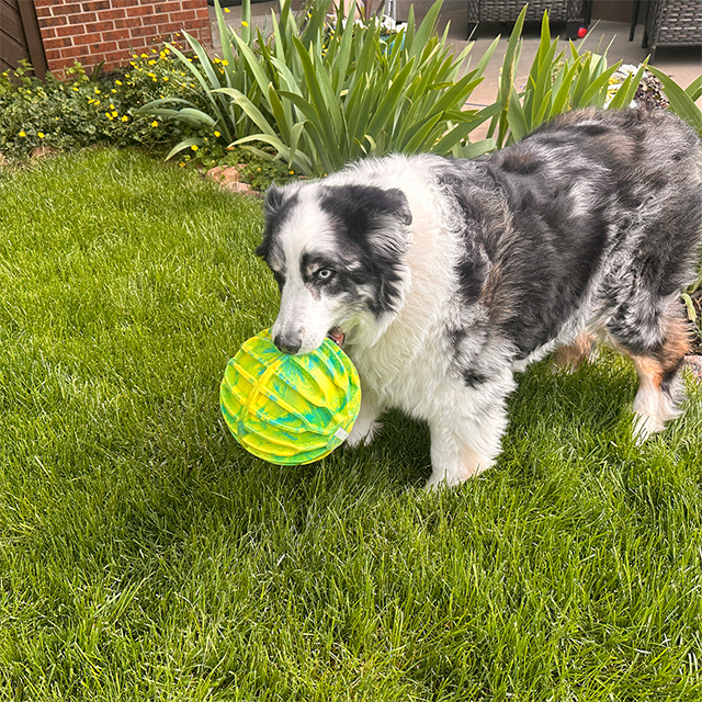 Kong Flexball Sportball XL Ø18 cm
