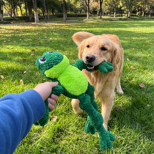 KONG Knots Frog