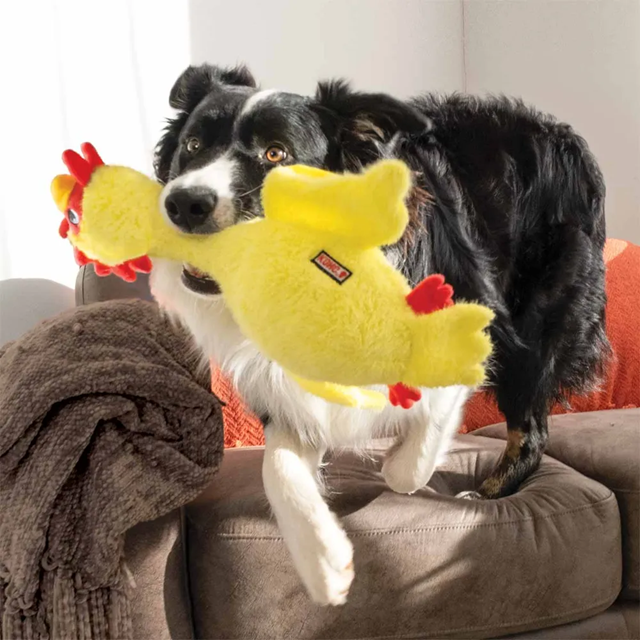Kong Scruffs Chicken