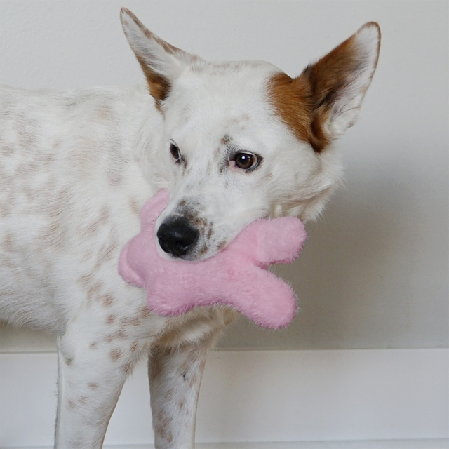 KONG Snuzzles Kiddos Bunny Rosa