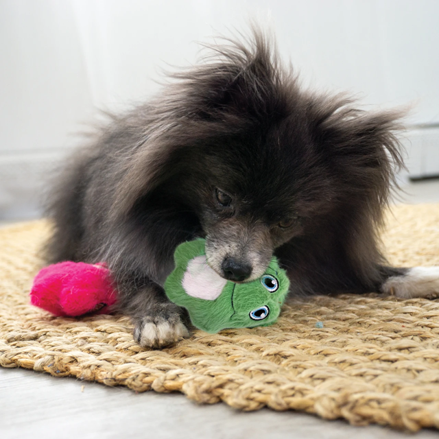 Kong Snuzzles Mini Frog