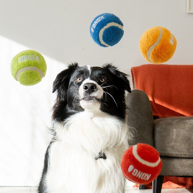 Kong Sport Softies Ball M